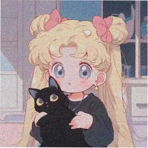 用户 夜航的猫 的头像